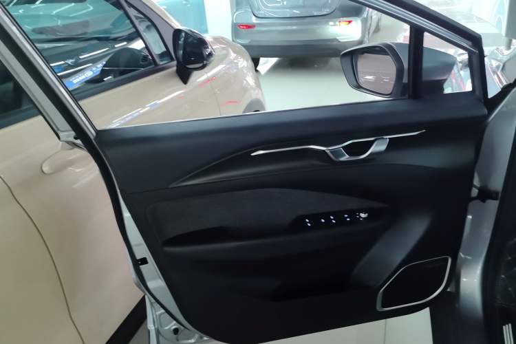 Used Geometry C 2022 400KM Blueberry Pro Left Front Door Interior