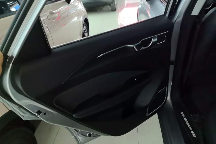 Used Geometry C 2022 400KM Blueberry Pro Left Rear Door Interior