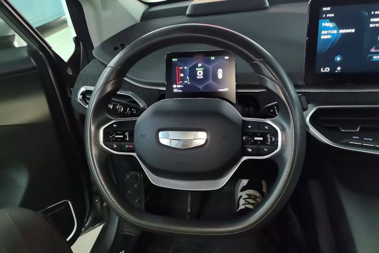 Used Geometry C 2022 400KM Blueberry Pro Steering Wheel