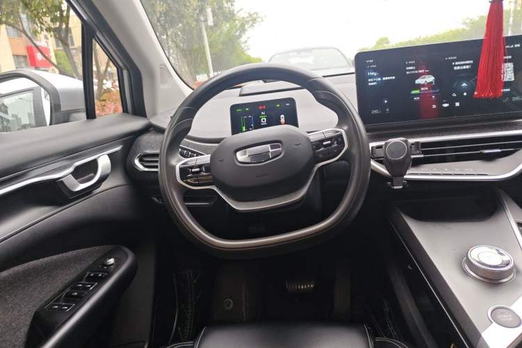 Used Geometry C 2022 400KM Blueberry Pro Steering Wheel