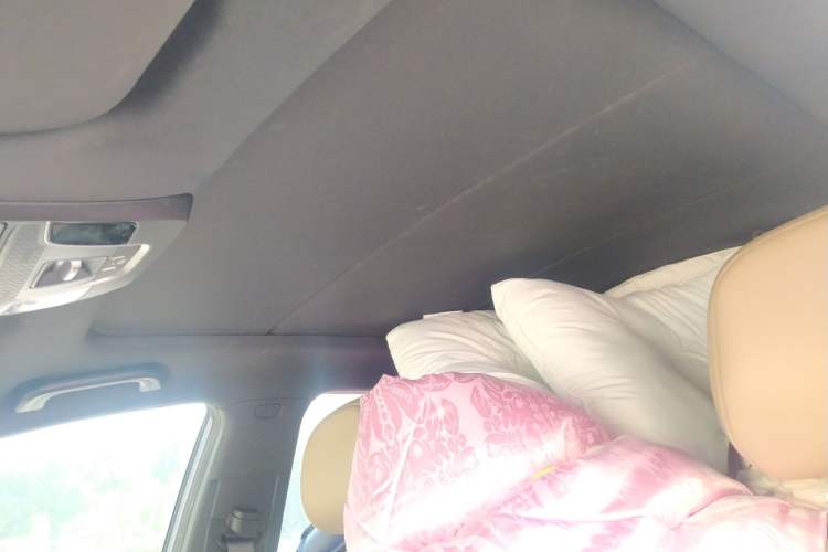 Used Geometry C 2022 Grape C550 Headliner