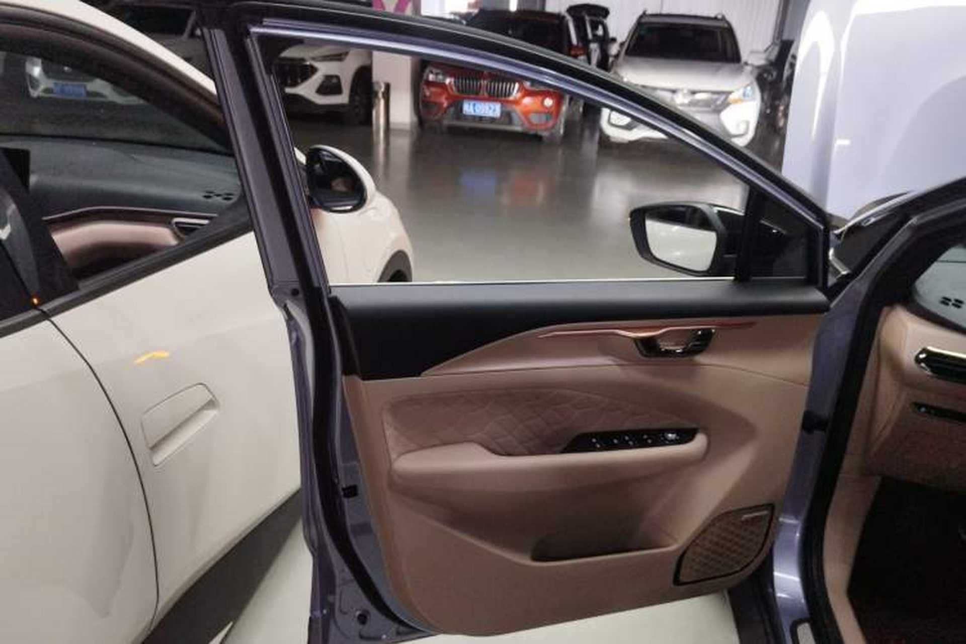 Used Geometry C 2022 Citrus C550 Left Front Door Interior