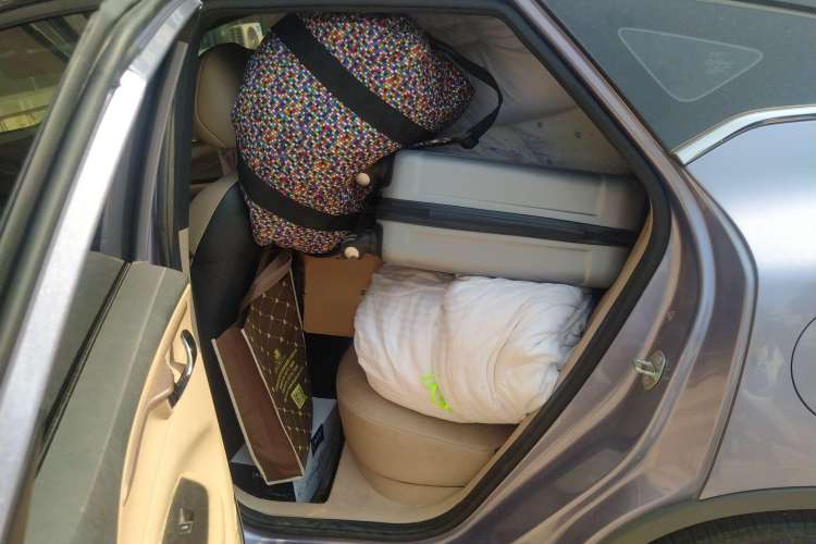 Used Geometry C 2022 Grape C550 Left Rear Seat