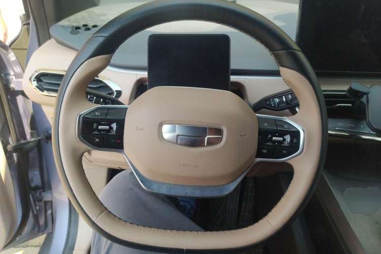Used Geometry C 2022 Grape C550 Steering Wheel