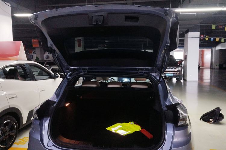 Used Geometry C 2022 Citrus C550 Trunk