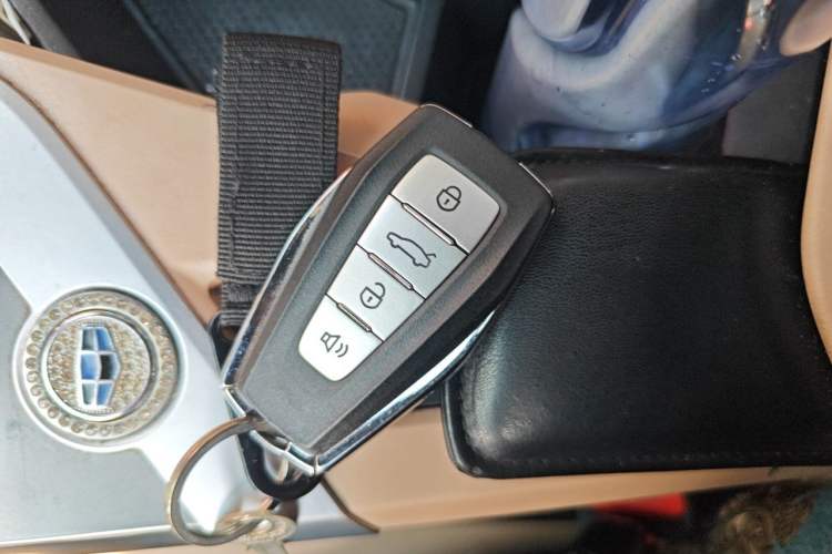 Used Geometry C 2022 550KM Grapefruit Plus Vehicle Key