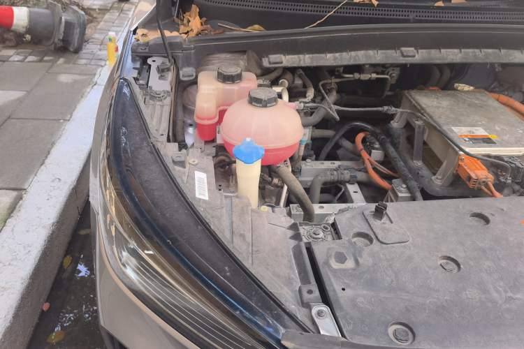 Used Geometry C 2022 400KM Blueberry Pro Engine Bay Right