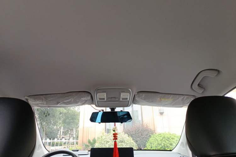 Used Geometry C 2022 400KM Blueberry Pro Headliner