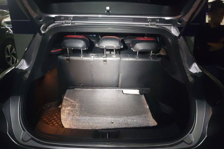 Used Geometry C 2022 Grape C550 Trunk