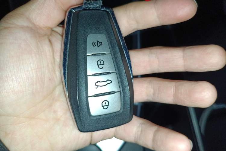 Used Geometry C 2022 Blueberry C400 Vehicle Key