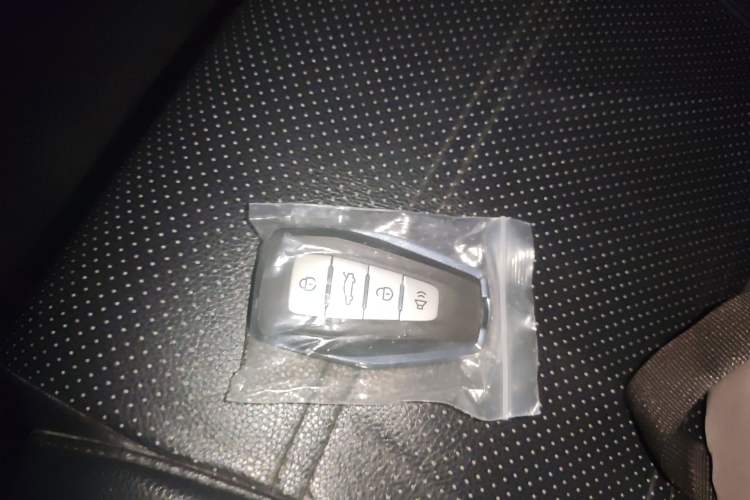 Used Geometry C 2022 Grape C550 Vehicle Key