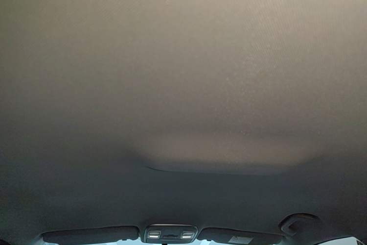 Used Geometry C 2022 400KM Blueberry Pro Headliner