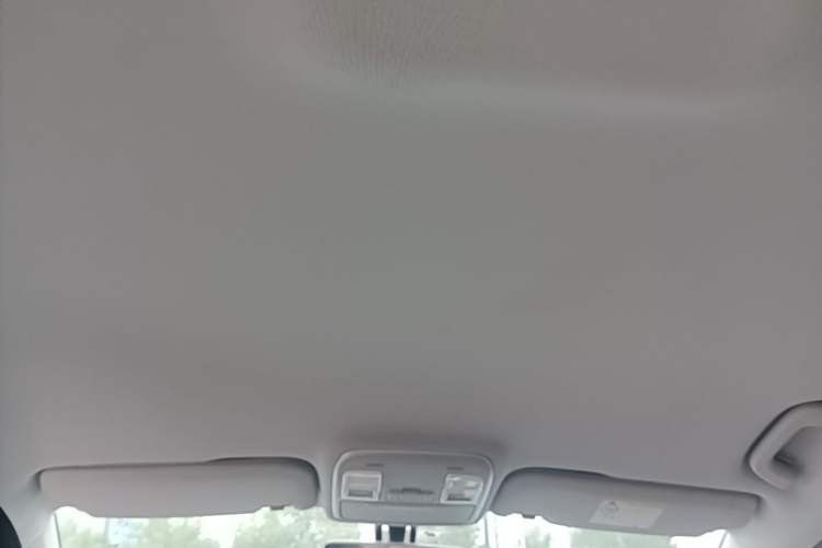 Used Geometry C 2022 400KM Commuter Version Headliner