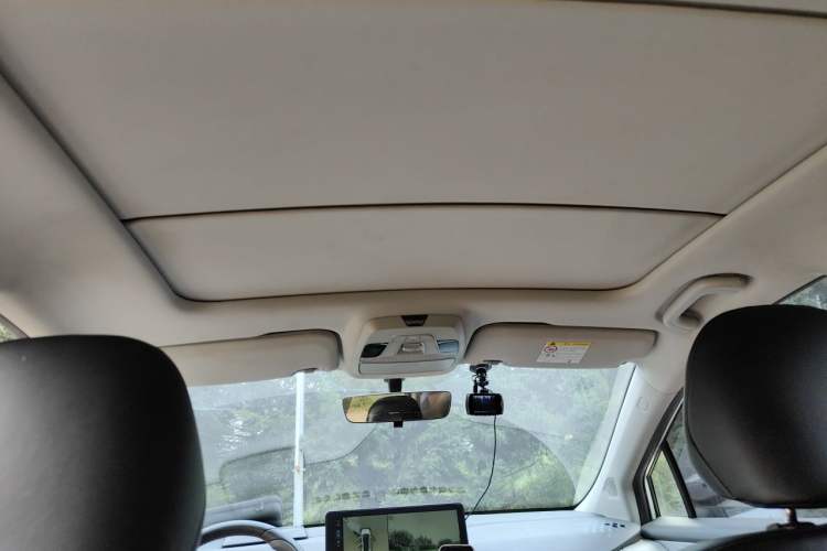 Used Geometry C 2022 Grape C550 Headliner