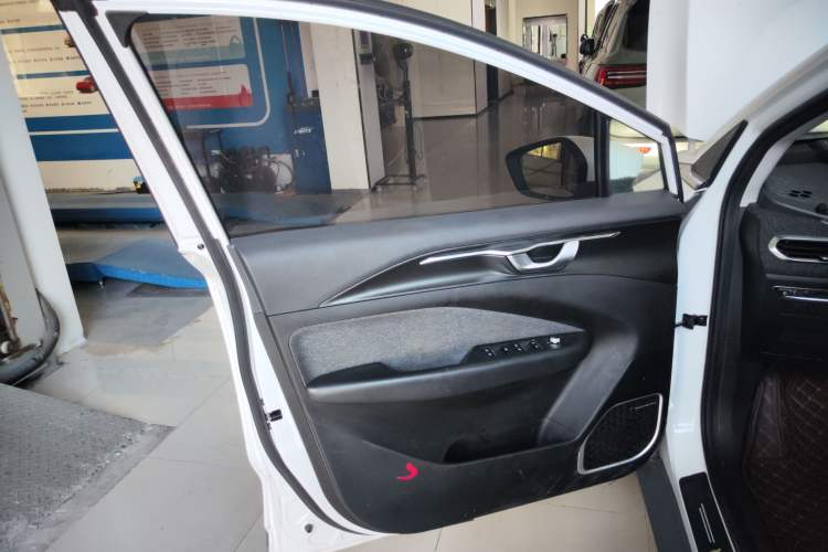 Used Geometry C 2022 Blueberry C400 Left Front Door Interior