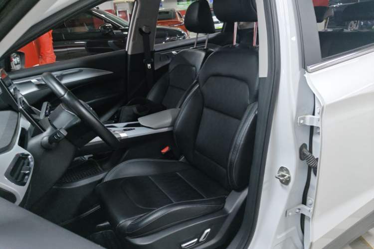 Used Geometry C 2022 550KM Grapefruit Plus Left Front Seat