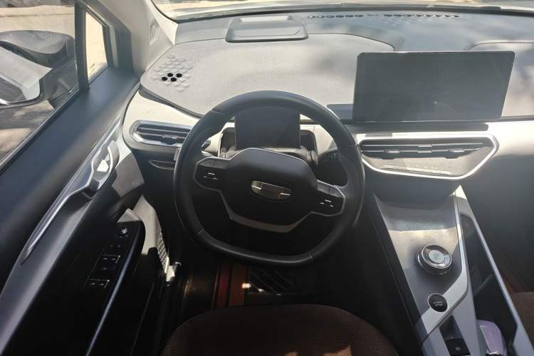 Used Geometry C 2022 Grape C550 Steering Wheel