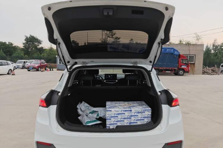 Used Geometry C 2022 Blueberry C400 Trunk