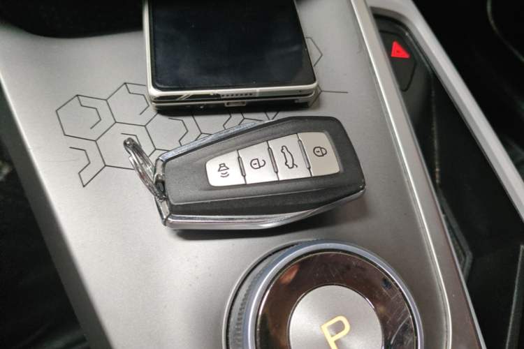 Used Geometry C 2022 550KM Grapefruit Plus Vehicle Key