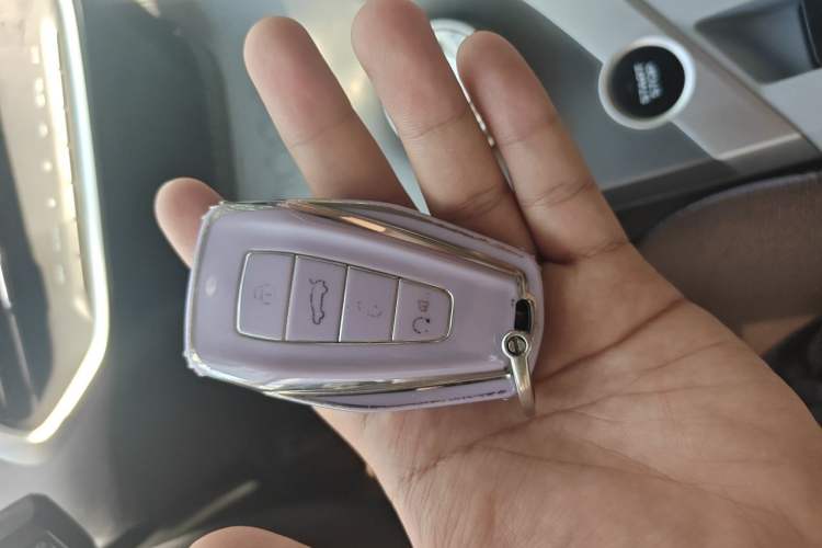 Used Geometry C 2022 Grape C550 Vehicle Key