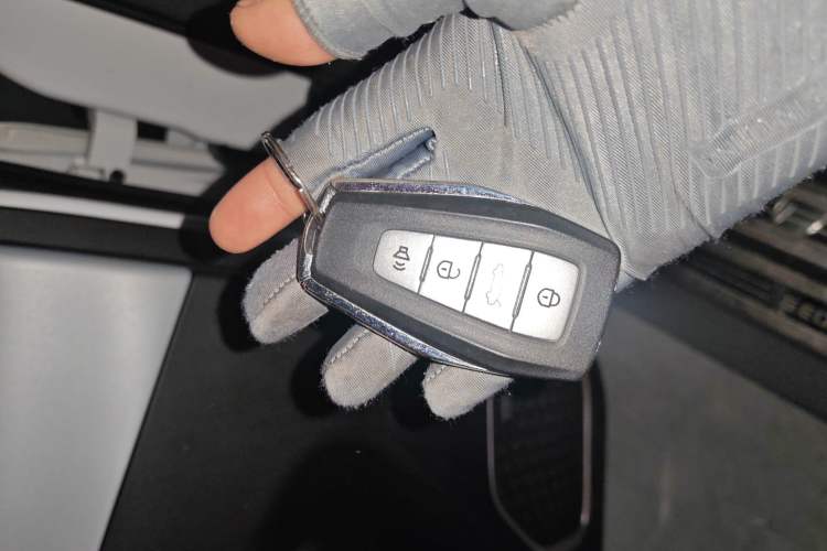 Used Geometry C 2022 550KM Grapefruit Pro Vehicle Key