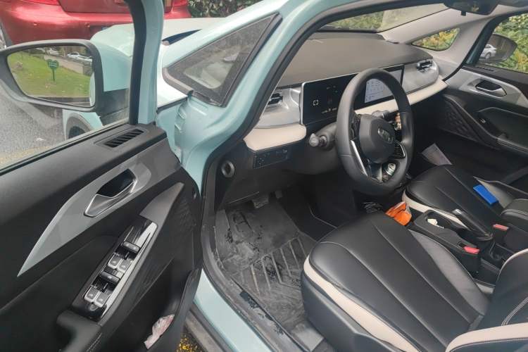 Used Geometry E 2022 320KM Cute Tiger 5-Seater Driver Seat