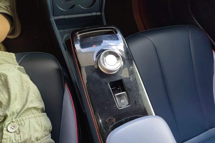 Used Geometry E 2022 320KM Cute Tiger 5-Seater Gear Lever
