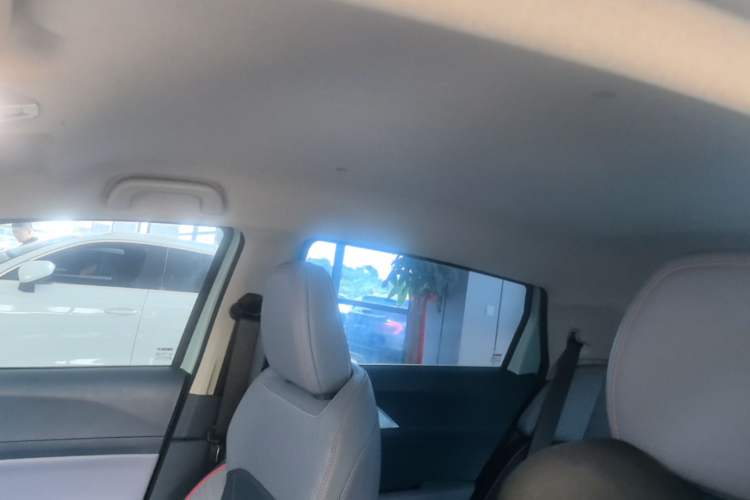 Used Geometry E 2022 320KM Cute Tiger 5-Seater Headliner