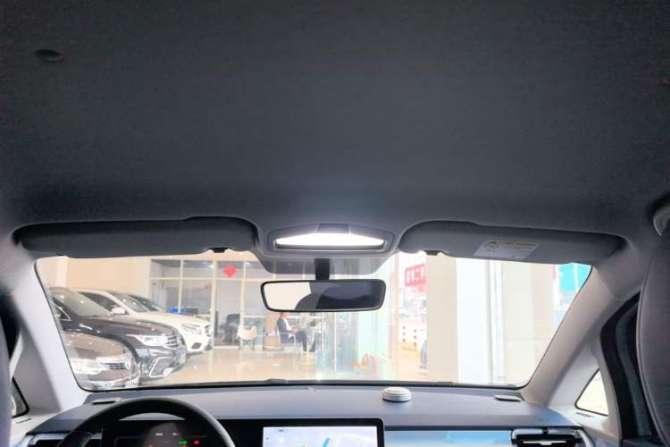Used Geometry E 2022 320KM Cute Tiger 5-Seater Headliner