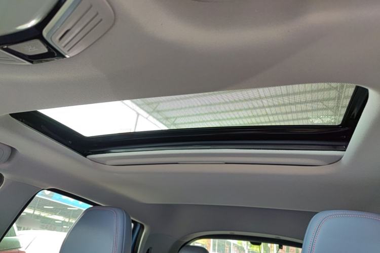 Used Geometry E 2022 320KM Cute Tiger 5-Seater Headliner