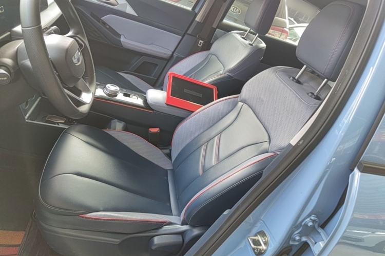 Used Geometry E 2022 320KM Cute Tiger 5-Seater Left Front Seat