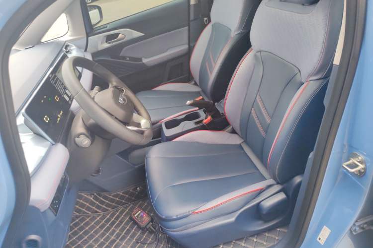 Used Geometry E 2022 320KM Cute Tiger 5-Seater Left Front Seat