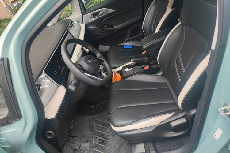 Used Geometry E 2022 320KM Cute Tiger 5-Seater Left Front Seat