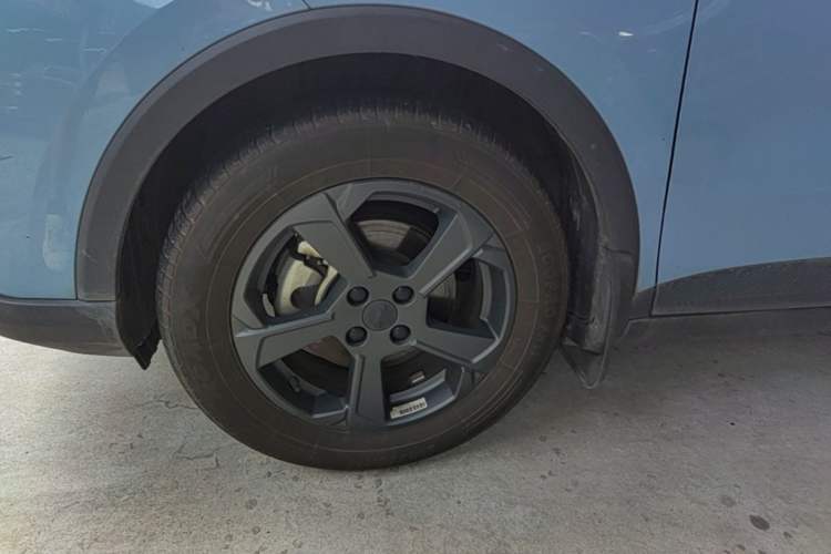 Used Geometry E 2022 320KM Cute Tiger 5-Seater Left Front Wheel Hub