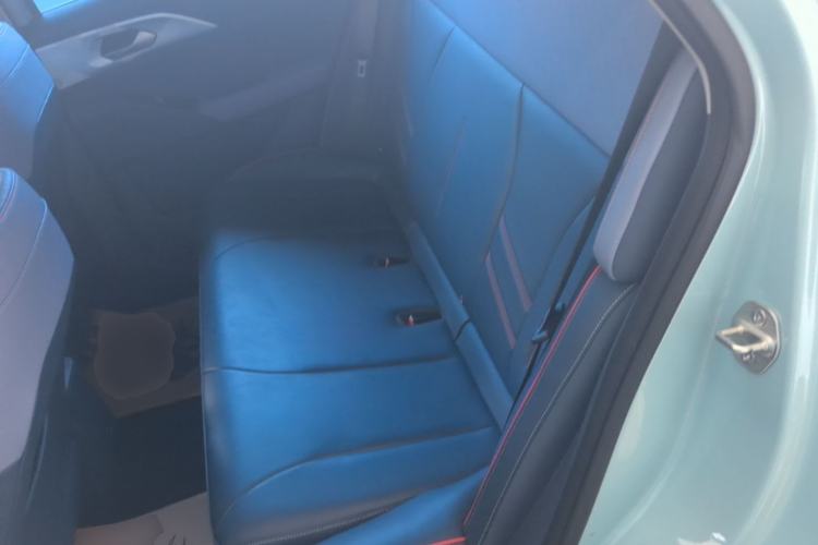 Used Geometry E 2022 320KM Cute Tiger 5-Seater Left Rear Seat