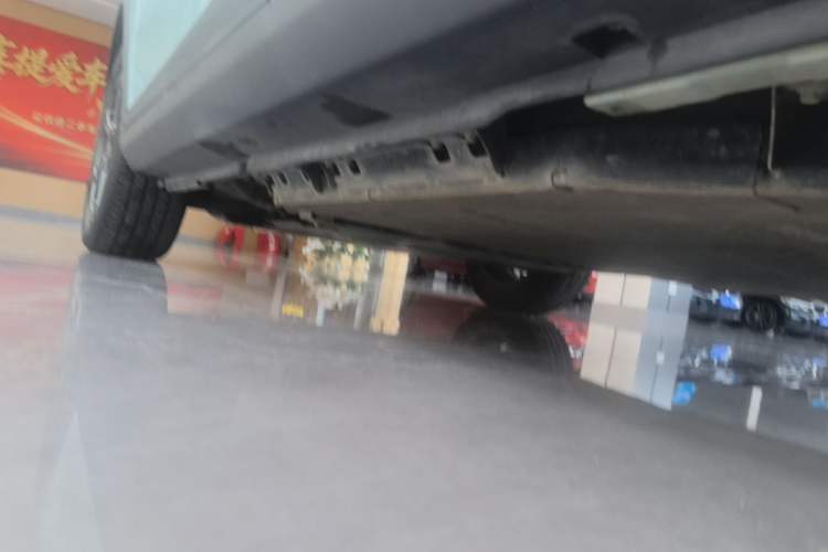 Used Geometry E 2022 320KM Cute Tiger 5-Seater Left Side Sill