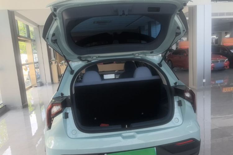 Used Geometry E 2022 320KM Cute Tiger 5-Seater Trunk