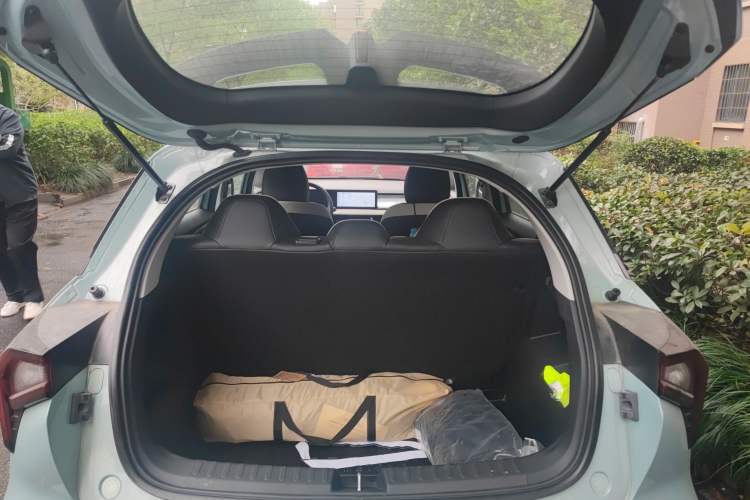 Used Geometry E 2022 320KM Cute Tiger 5-Seater Trunk