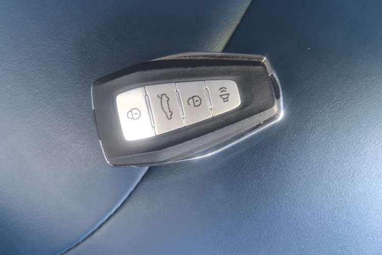 Used Geometry E 2022 320KM Cute Tiger 5-Seater Vehicle Key