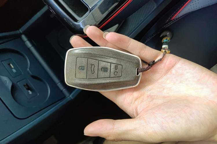 Used Geometry E 2022 320KM Cute Tiger 5-Seater Vehicle Key