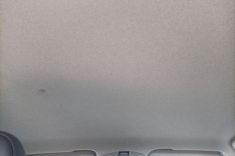 Used Geometry E 2022 320KM Cute Tiger 5-Seater Headliner