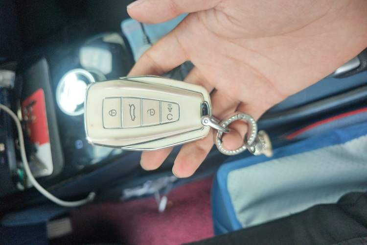 Used Geometry E 2022 320KM Cute Tiger 5-Seater Vehicle Key