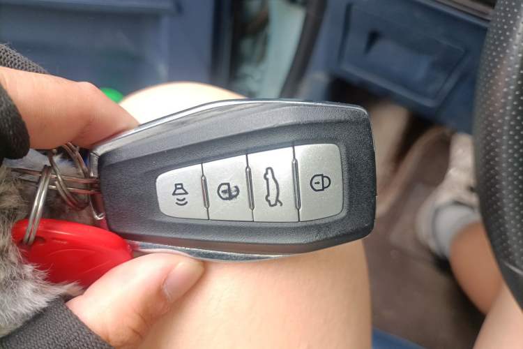 Used Geometry E 2022 320KM Cute Tiger 5-Seater Vehicle Key