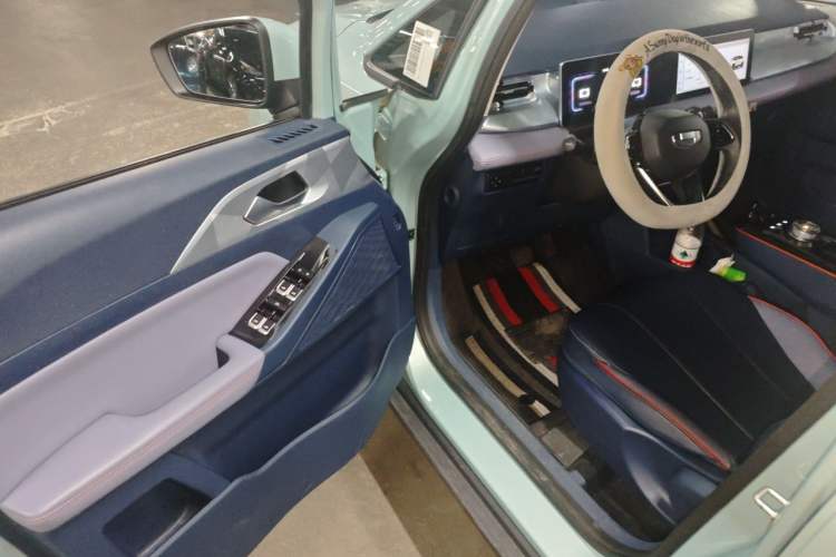 Used Geometry E 2022 320KM Cute Tiger 5-Seater Driver Seat