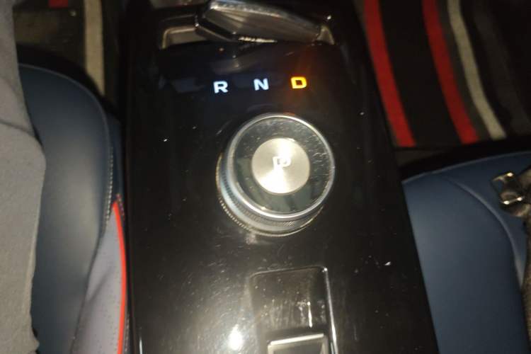 Used Geometry E 2022 320KM Cute Tiger 5-Seater Gear Lever