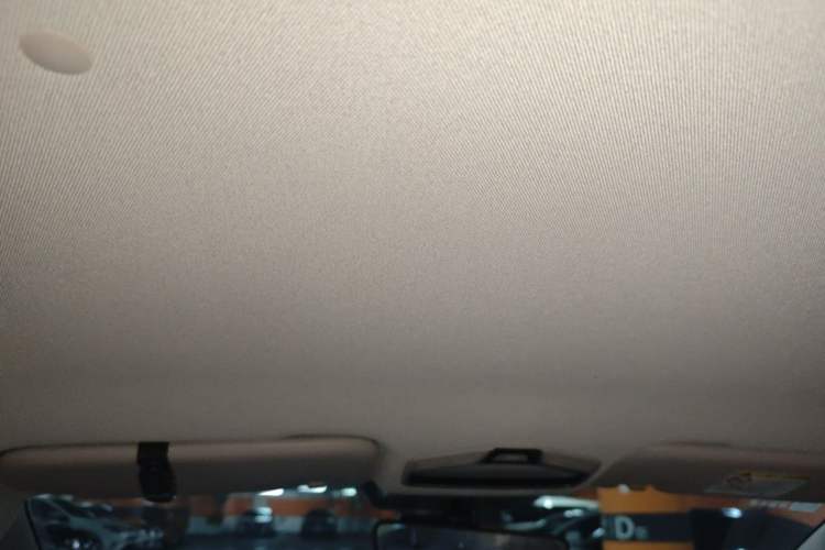 Used Geometry E 2022 320KM Cute Tiger 5-Seater Headliner