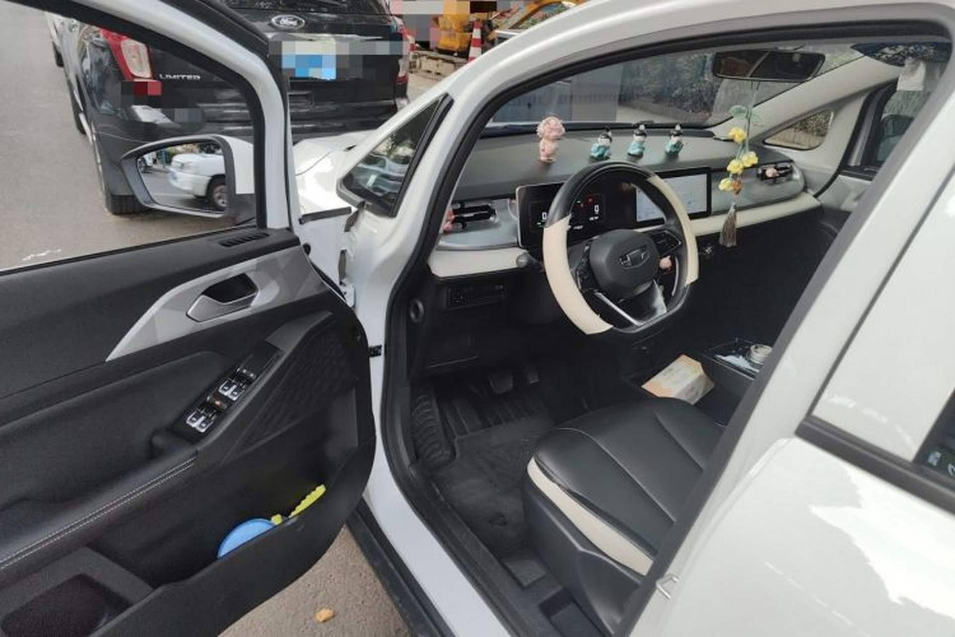 Used Geometry E 2022 320KM Cute Tiger 5-Seater Driver Seat