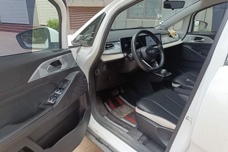 Used Geometry E 2022 320KM Cute Tiger 5-Seater Driver Seat