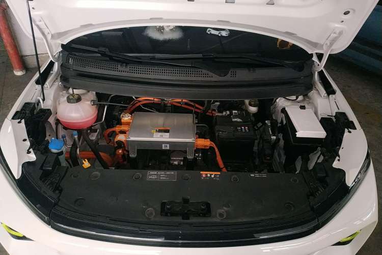 Used Geometry E 2022 401 km Linglong Tiger 4 Seats Engine Bay