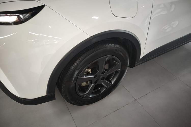 Used Geometry E 2022 320KM Cute Tiger 5-Seater Exterior 4